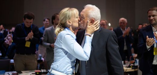 FDP: Wolfgang Kubicki setzt sich im überraschenden Duell um Vorsitz durch