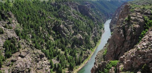 Donald-Trump-Regierung lockert Jagdverbote in Nationalparks