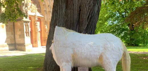 Korbach: Unbekannte köpfen Einhorn – oder war es doch der, dessen Name nicht genannt werden darf?