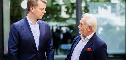 FDP-Krise: Warum die Liberalen sowohl Kubicki als auch Höne brauchen