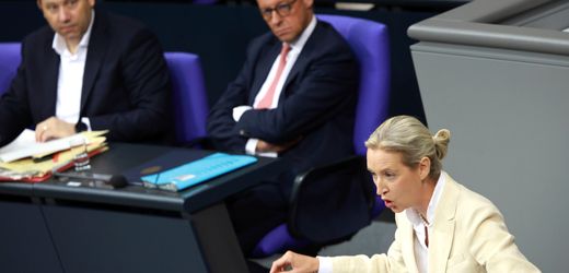 AfD-Aufstieg: Schluss mit der Angstmacherei!