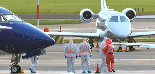 Hantavirus auf MV »Hondius«: Wie eine Verbreitung des Andesvirus nun verhindert werden soll