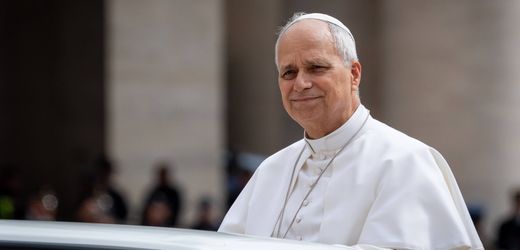 Papst Leo XIV.: Warum er mit seinem MAGA-Bruder Louis nicht über Politik spricht