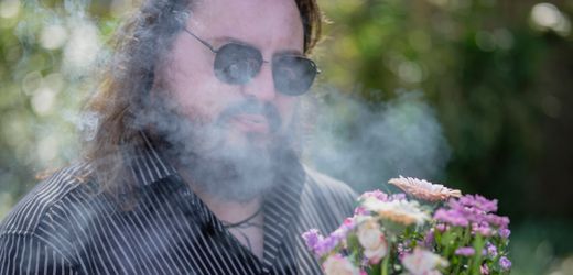 »Vom Fällen eines Stammbaums« von Martin Piekar: Aus der Unsichtbarkeit herausgeschrien