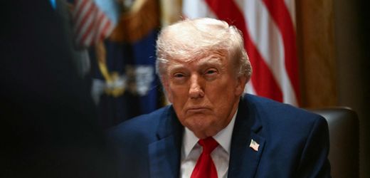 USA: US-Republikaner teilen erneut Wahlbezirk mit mehrheitlich schwarzen Wählern – zugunsten von Donald Trump