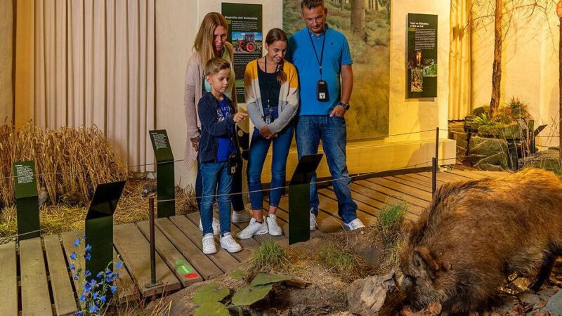 Zum Internationalen Museumstag: Workshops und Aktionen im Museum Mensch und Jagd