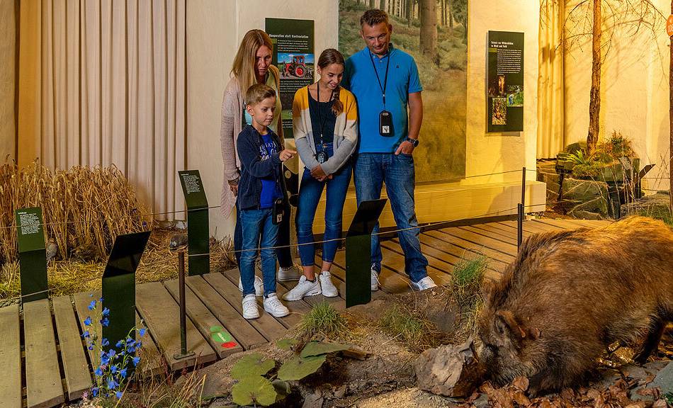Zum Internationalen Museumstag: Workshops und Aktionen im Museum Mensch und Jagd