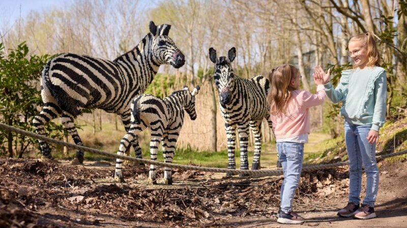 Kunst trifft Artenschutz: ZooParc Overloon zeigt bedrohte Tiere und Dinosaurier aus Bausteinen