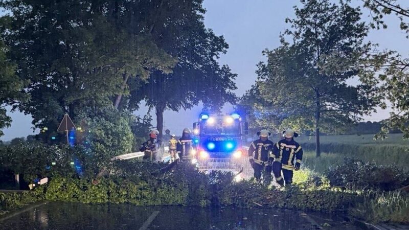Kempen, Willich, Tönisvorst und Grefrath: Kaum Auswirkungen des Unwetters – umgestürzte Bäume in Willich