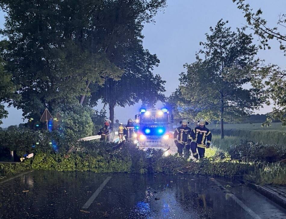 Kempen, Willich, Tönisvorst und Grefrath: Kaum Auswirkungen des Unwetters – umgestürzte Bäume in Willich