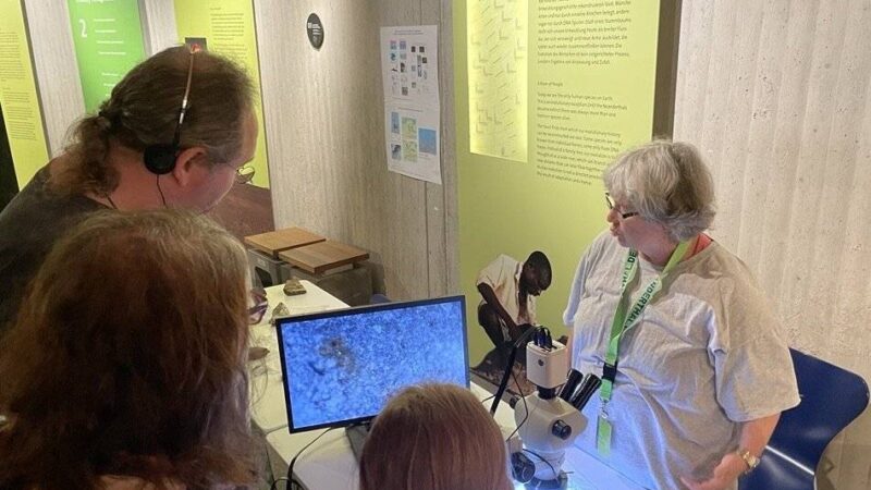 Neanderthal Museum in Mettmann: „Tag der Forschung“ öffnet Türen zur Menschheitsgeschichte