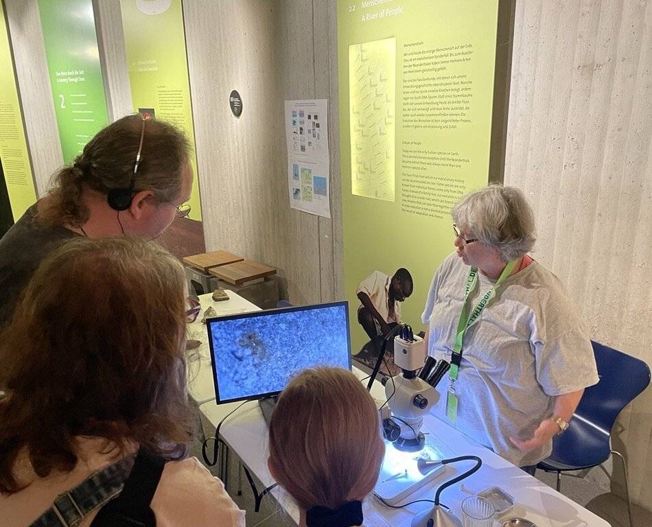 Neanderthal Museum in Mettmann: „Tag der Forschung“ öffnet Türen zur Menschheitsgeschichte