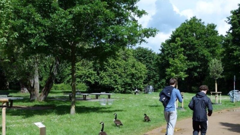 Aktion im Jubiläumsjahr: Spielmobil auf der „Allee der sprechenden Bäume“