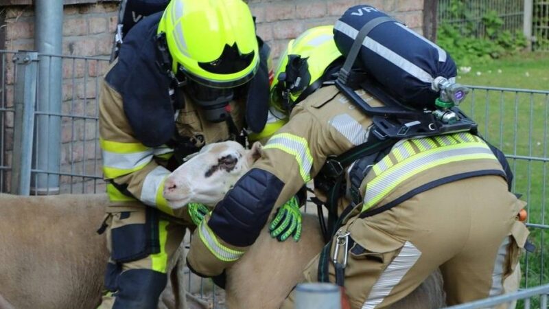 Übung im Tiergarten Kleve: Feuerwehr übt Rettung von Tieren bei Brand im Zoo