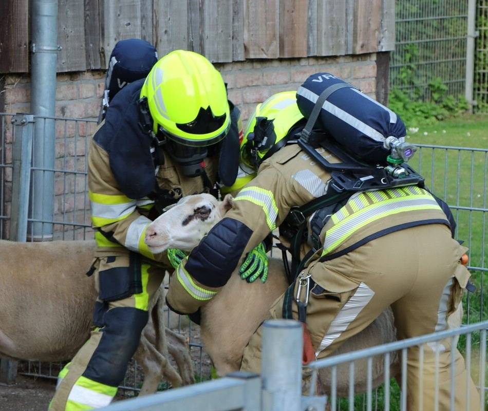 Übung im Tiergarten Kleve: Feuerwehr übt Rettung von Tieren bei Brand im Zoo