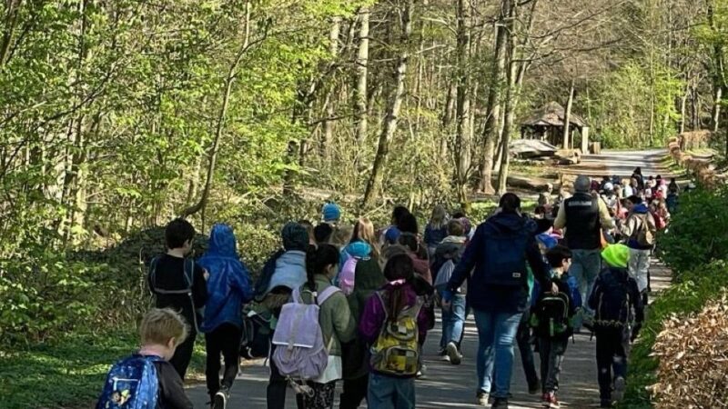 Gut gemacht: Golfen, Wandern, Radfahren – Düsseldorf hilft