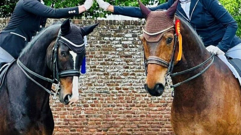 Reitturnier am Haus Hohenbusch: Yvonne Faßbender wiederholt ihren Vorjahressieg