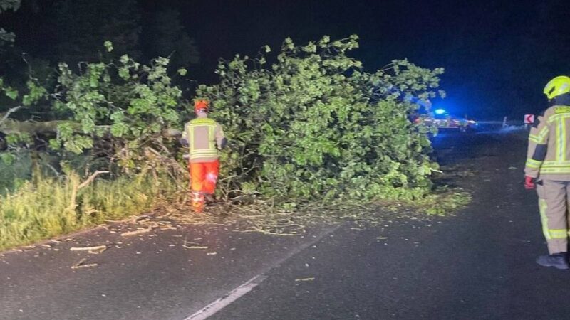 Freiwillige Feuerwehr im Einsatz: Baum stürzt auf Fahrbahn in Alpen