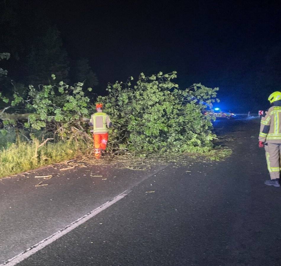 Freiwillige Feuerwehr im Einsatz: Baum stürzt auf Fahrbahn in Alpen