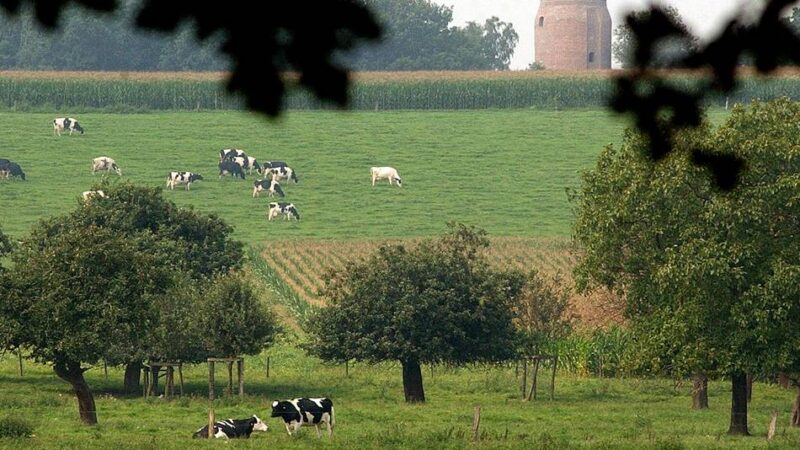 Uedem am Niederrhein: Warum Uedem mit seinem dörflichen Charme begeistert