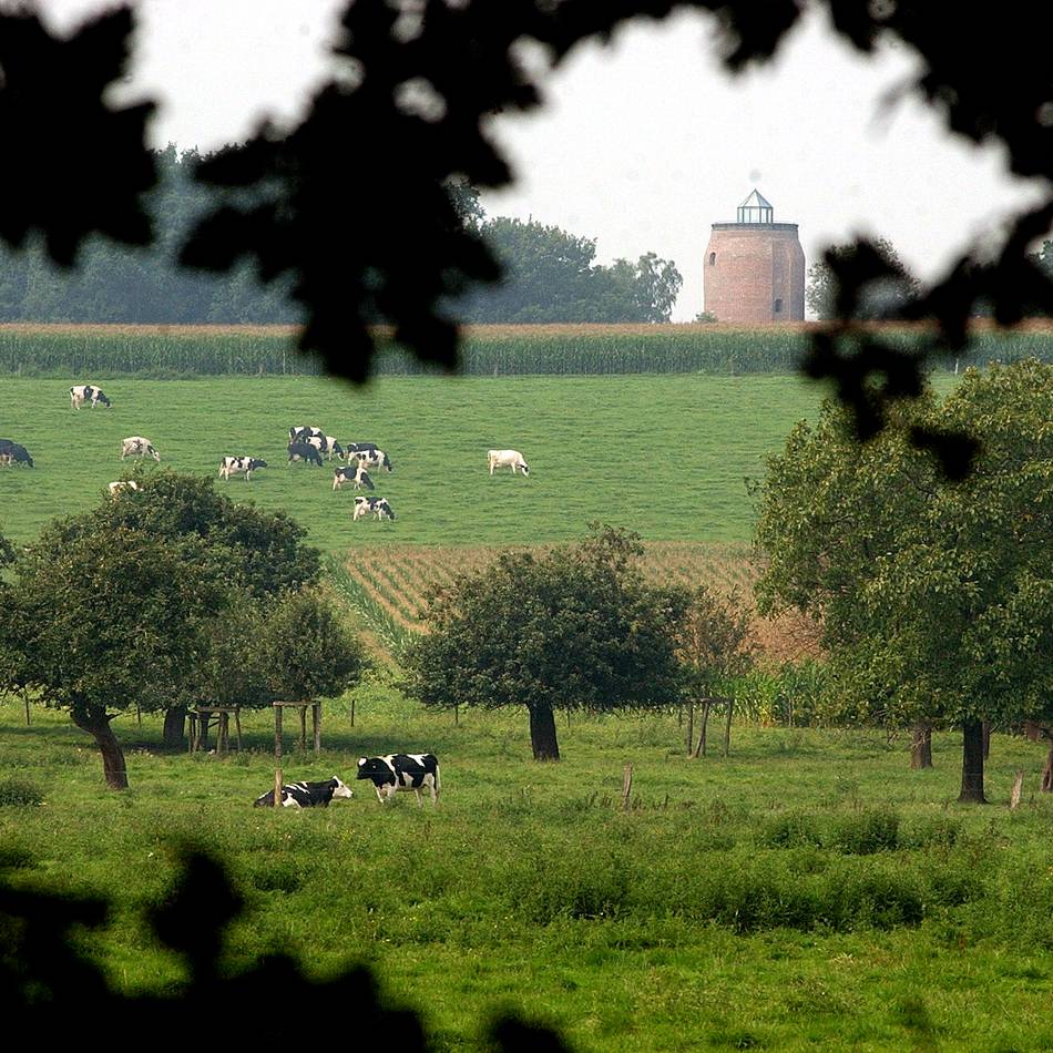 Uedem am Niederrhein: Warum Uedem mit seinem dörflichen Charme begeistert
