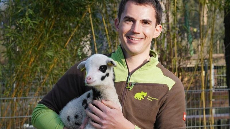 Neue Folgen von „Die Tier-Docs“: Tierarzt-Team vom Tiergarten Kleve wieder im TV zu sehen