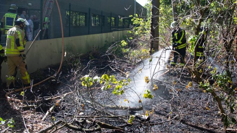 Feuer in Krefeld: Flächenbrand in Industriegebiet