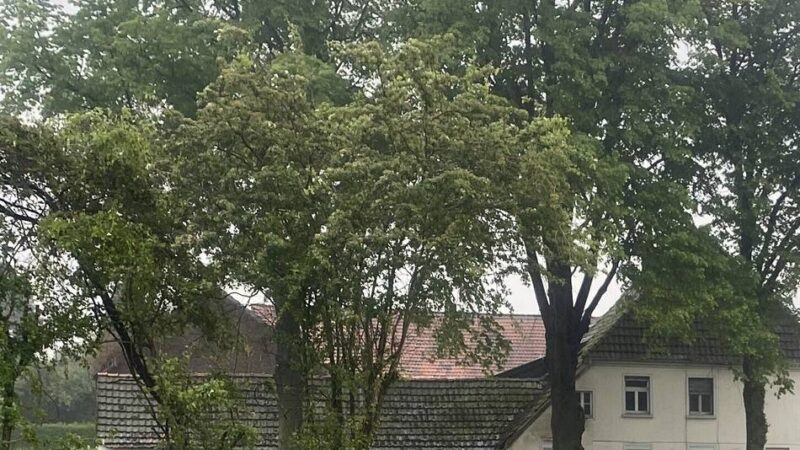 Serie Meerbusch historisch: Der Klasenhof und seine 400 Jahre alten Geheimnisse