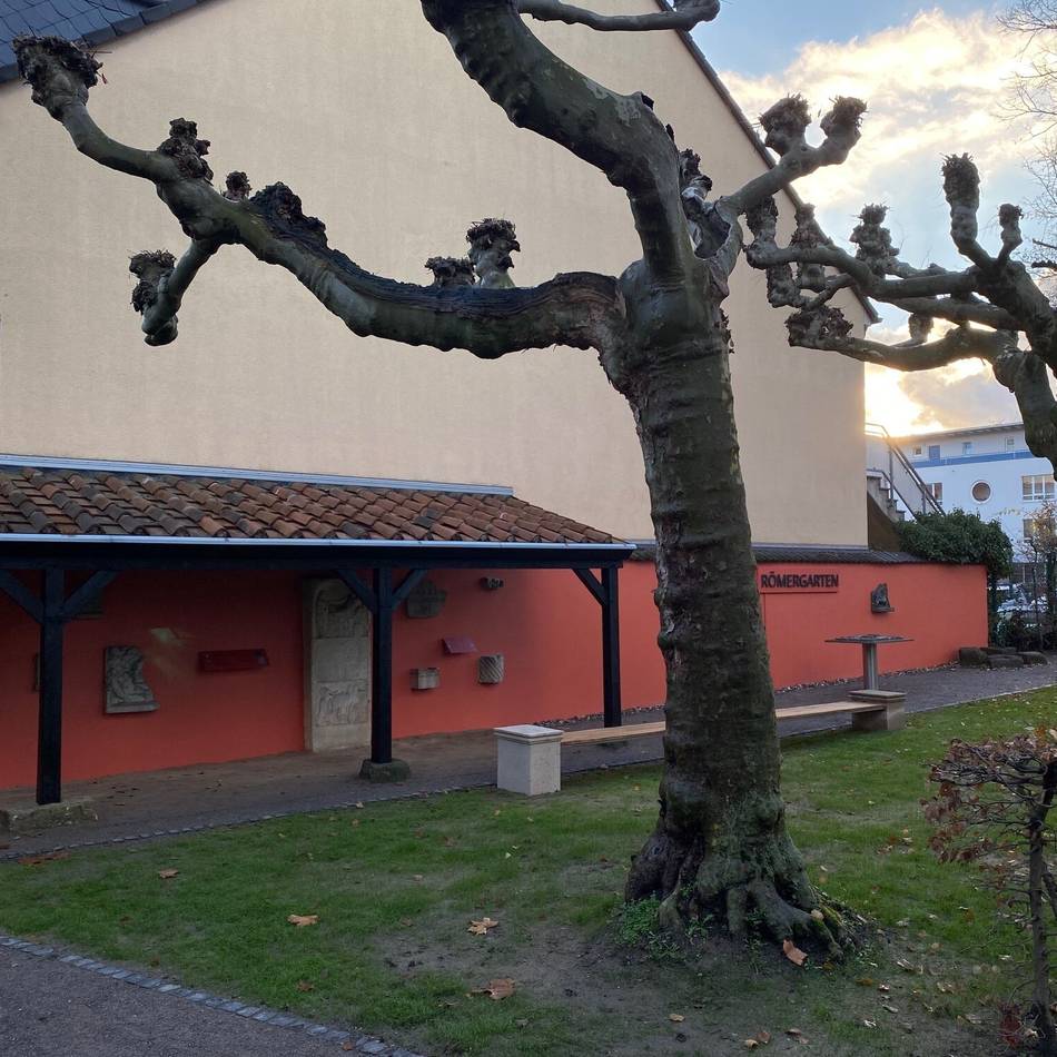 Fünf Jahre UNESCO-Welterbe: Römer in Dormagen – Radtouren, Kinderprogramm und Vorträge