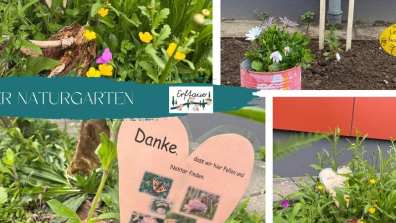 Grundschule in Gustorf: Kinder verwandeln Trampelpfad in Insektenparadies