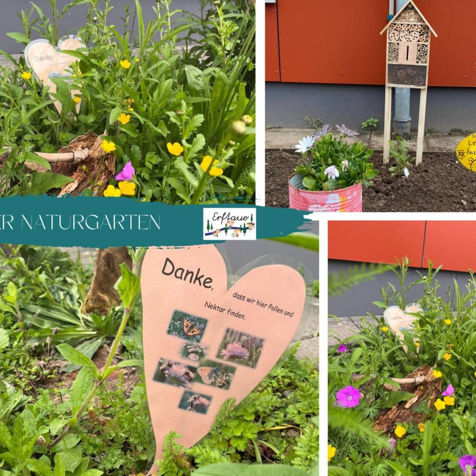 Grundschule in Gustorf: Kinder verwandeln Trampelpfad in Insektenparadies