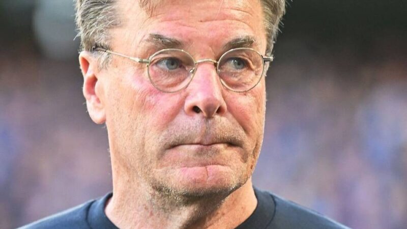 Neuer Job nach Abstieg: Vom Trainer zum Sportchef – Hecking mit neuer Rolle in Wolfsburg