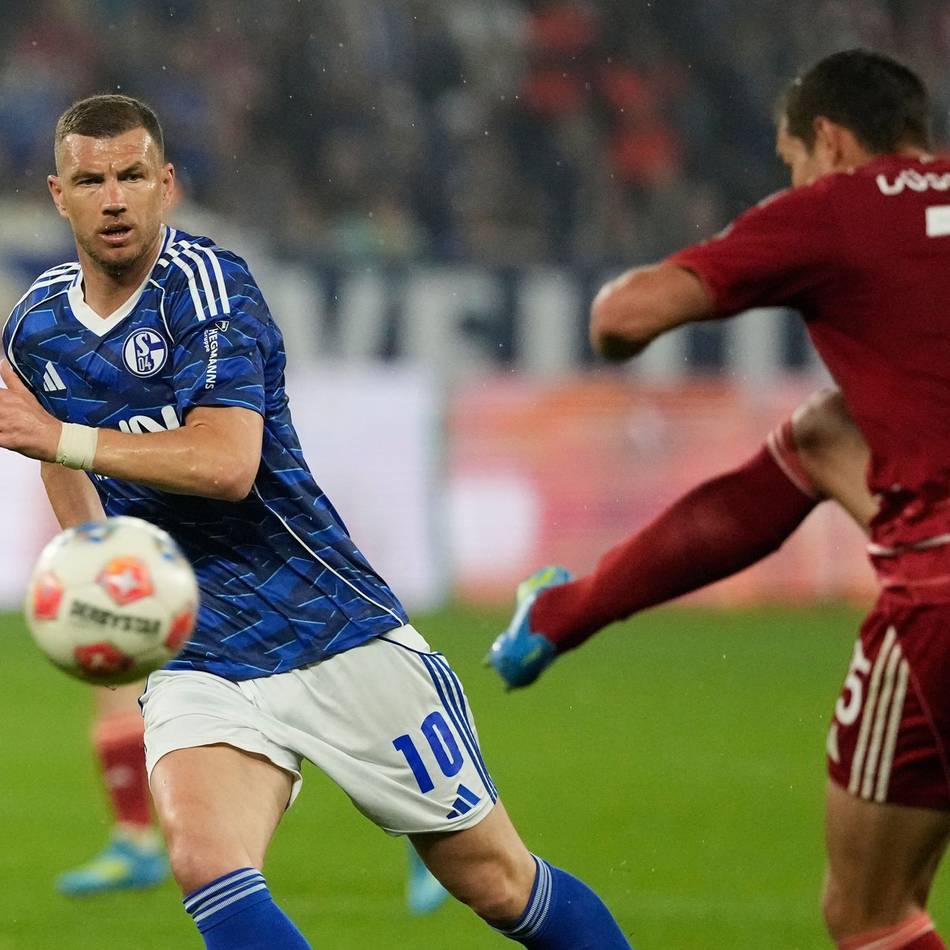 Drei Gründe, ein Problem: Wieso Fortuna die Einwechslung von Schalke-Star Dzeko sogar geholfen hat