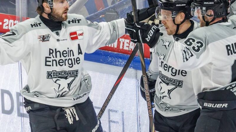 Für die Mission Meisterschaft nach 2002: Schwede Berglund neuer Chefcoach der Kölner Haie