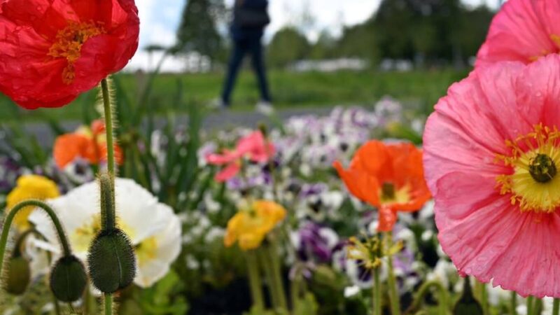 Neuss Marketing baut Angebot aus: Mehr Vielfalt für die Führungen bei der Landesgartenschau