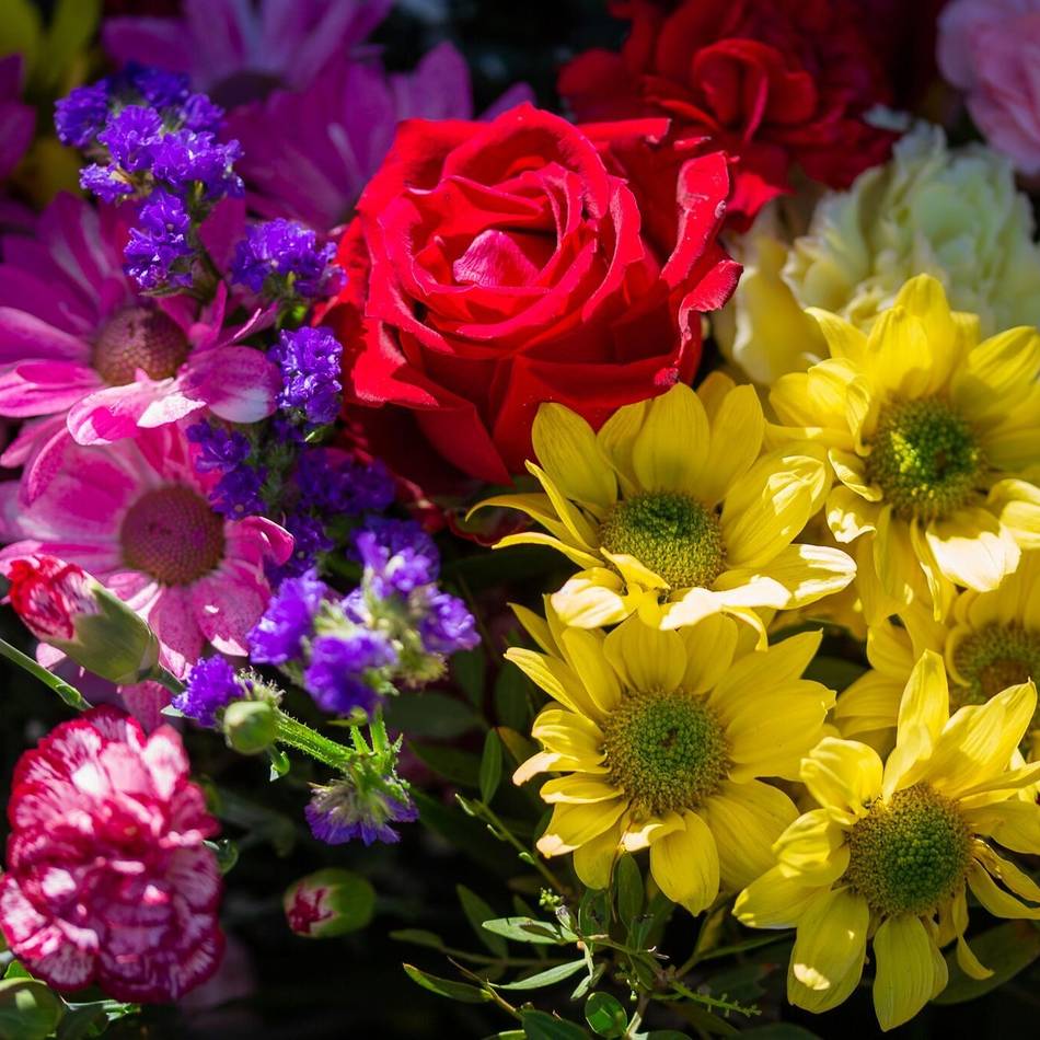 Am Samstag in Düsseldorf: Über 800 Blumen – Riesengesteck steht nur fünf Stunden am Kö-Bogen
