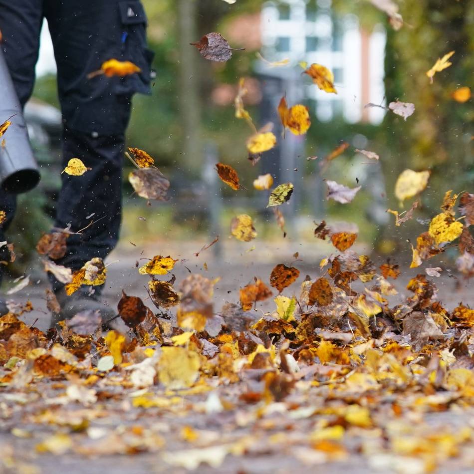 Frust in jedem Herbst: Kalkar sucht Lösung für Abtransport von „städtischem Laub“