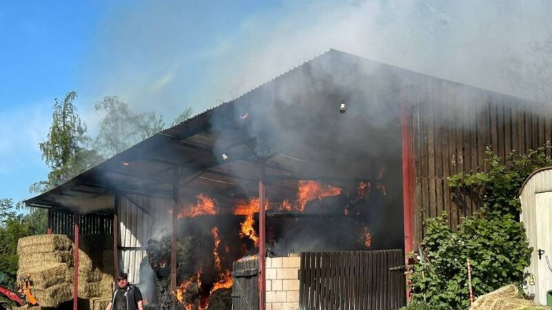 Feuerwehreinsatz in Ratingen: Heuballen brennen in Lagerhalle