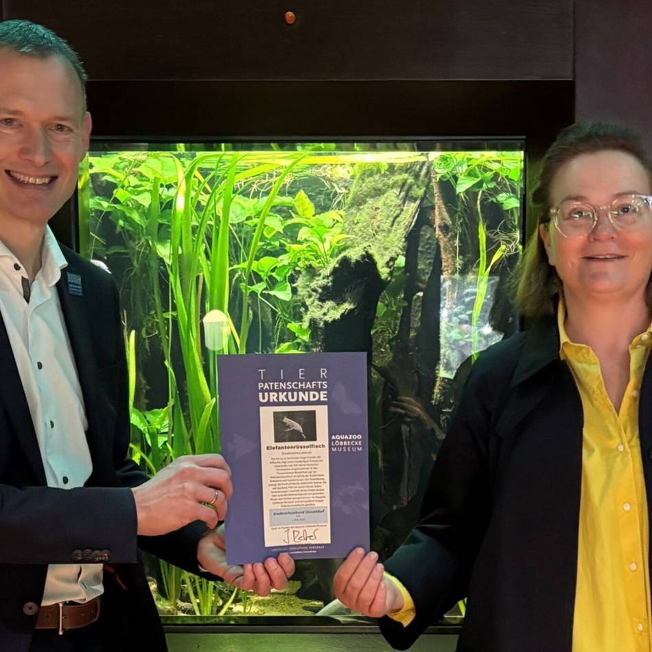 Kooperation in Düsseldorf: Kinderschutzbund übernimmt Patenschaft im Aquazoo