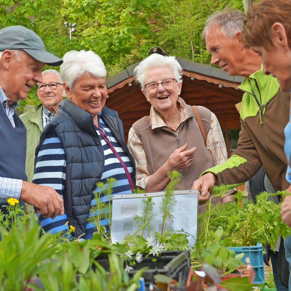 Beim Obst- und Gartenbauverein Neviges tauschen Hobbygärtner nützliche Erfahrungen aus: Pflanzenbörse vermittelt auch wichtiges Wissen
