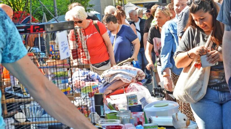 Wallfahrtseröffnung, Trödel auch an der Stadtkirche und Kinderfest diesmal auf dem Schlossparkplatz: Maifeiertag in Neviges: „Da wird das Dorf richtig voll“