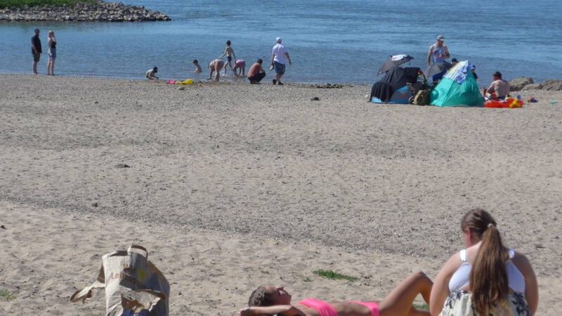 Badeverbot am Rhein: „Irgendwo muss man bei diesem Wetter ja mit den Kindern hin“