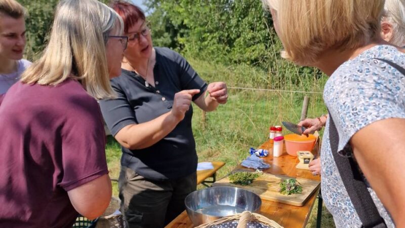 Streuobstwiese in Orsoy: Nabu Rheinberg zeigt, welche Wildkräuter essbar sind