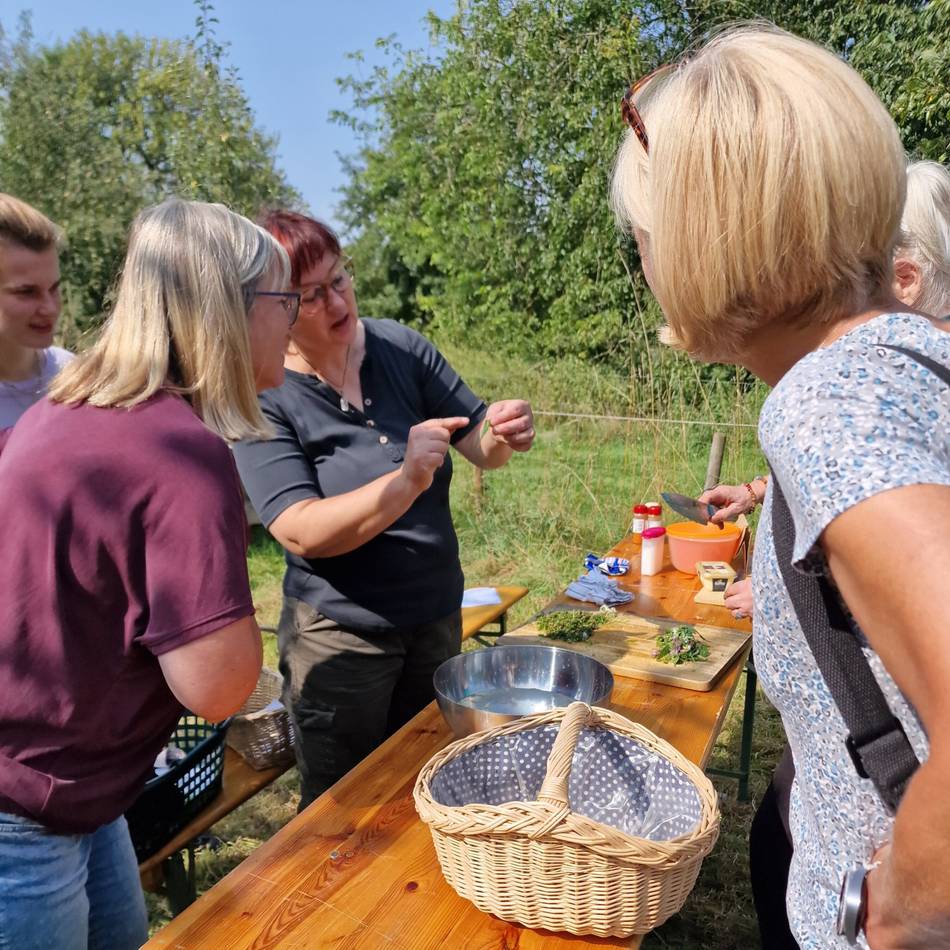 Streuobstwiese in Orsoy: Nabu Rheinberg zeigt, welche Wildkräuter essbar sind