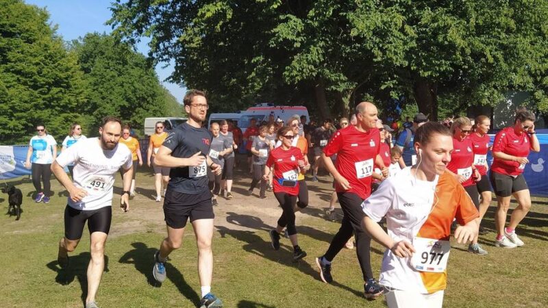 Mehr als ein Laufevent: Gesundheit, Spaß und Netzwerken beim Firmenlauf am Grünen See
