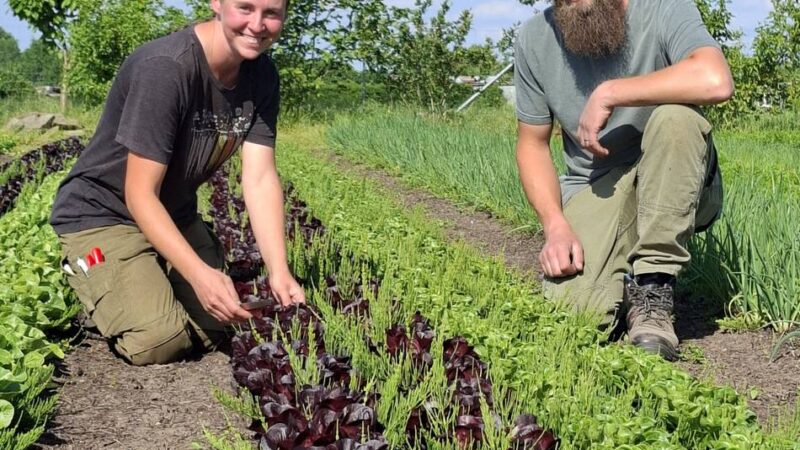 Entdeckungstour mit dem Verein Kulturgut Langenfeld: Ziegen für die Freilandpflege und zwei Landwirte aus Leidenschaft