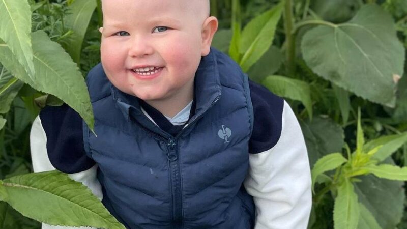 Dreijähriger hat Leukämie: Stammzellensuche für Hannes bei Fußballturnier in Grefrath