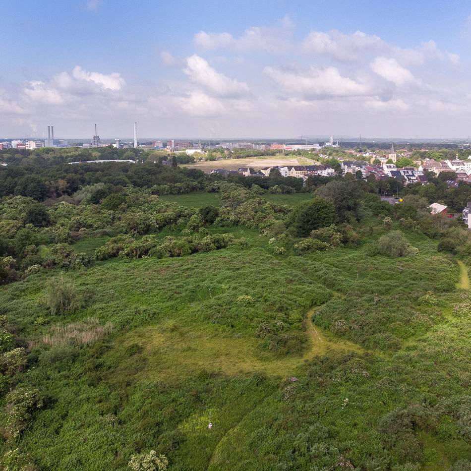 Projekt in Dormagen: Wie die Rheinaue zu einem Erlebnis werden soll