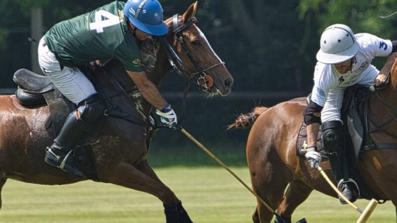 Pferdesport, Porsche und Genuss: Das bietet das Rhein-Polo-Festival in Willich