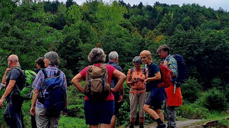 SGV Langenfeld/Monheim: Am 9. Juni gibt es eine Tageswanderung von Hitdorf zum Fühlinger See